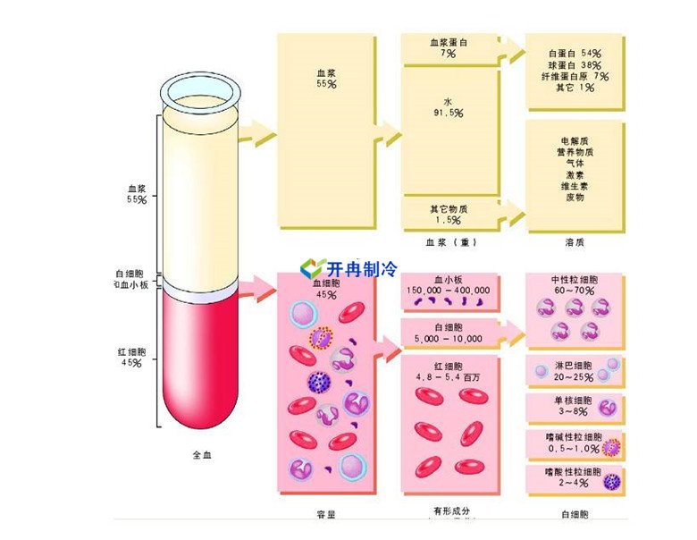 -30℃～-80℃血漿蛋白低溫冷凍庫規范，冷庫安裝價格